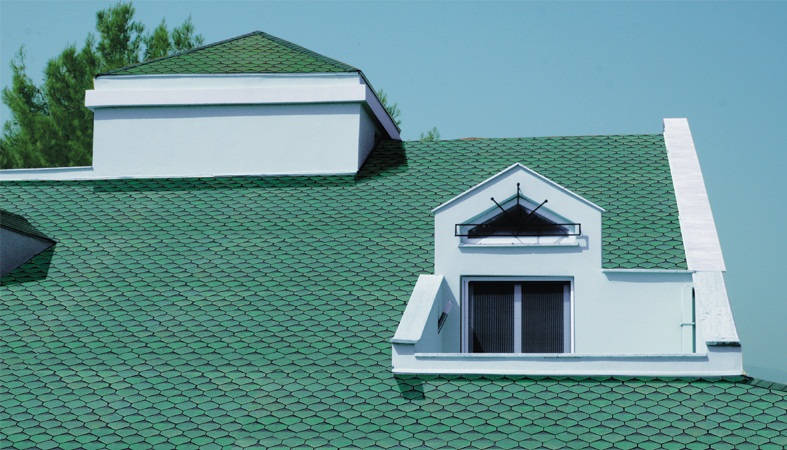 Tınaztepe profesyonel Şed Çatı – Shingle cati örneği